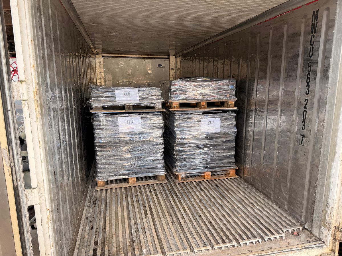 Pallets marked ÉLU loaded in a container